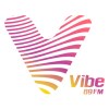 Logo da Vibe 89 FM